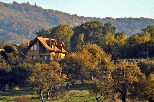 Casa Zollo
