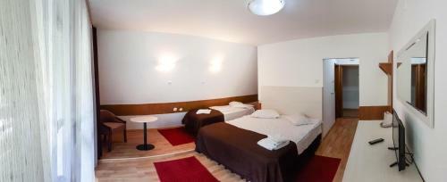 Hotel Complex Turistic Capra