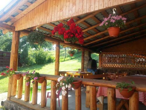 Hostal Pensiunea Dorali