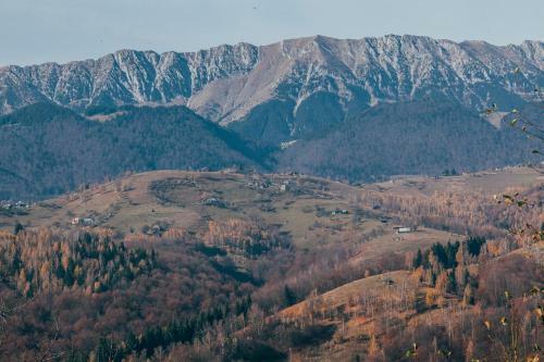 Drumul Carului Villa