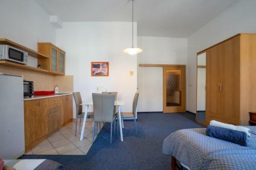 Apartamento Studio Wellnerova 3