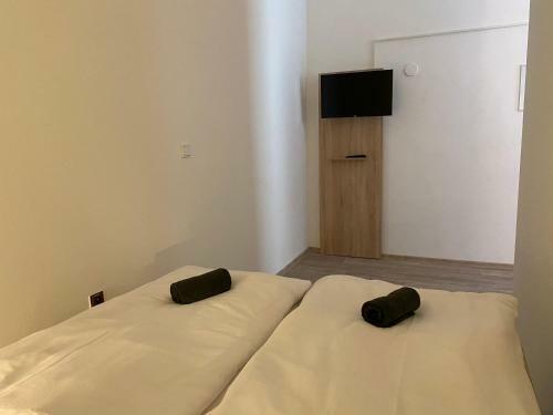 Apartm�ny Hom�r Plze?