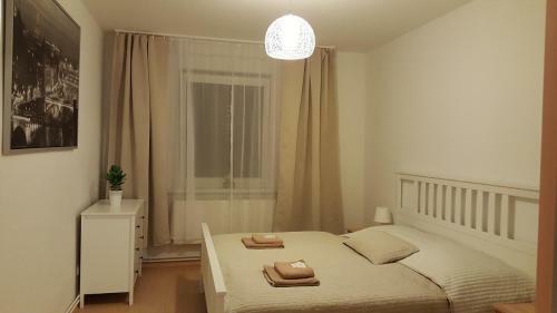 Hostal Penzion Sofi