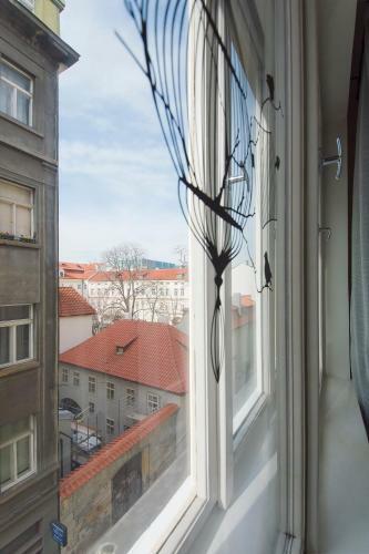 Apartamento 19 Nek�zanka