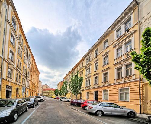 Apartamento Borivojova 50
