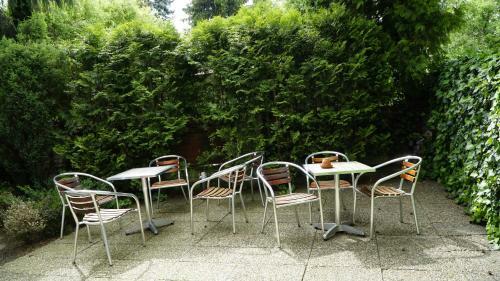 Hostal Pension Fox