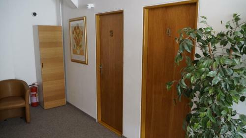 Hostal Pension Fox