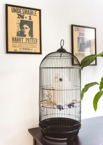 Harry Potter's Apartment In Prague Center