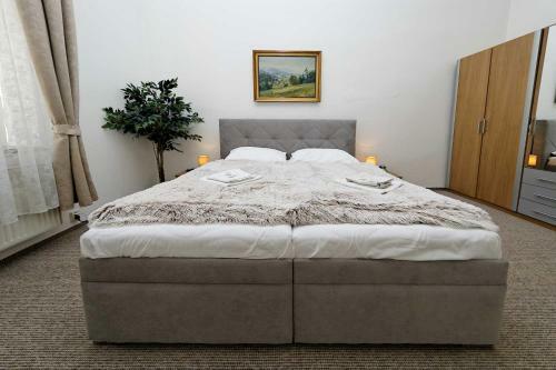 Apartments U Cisare