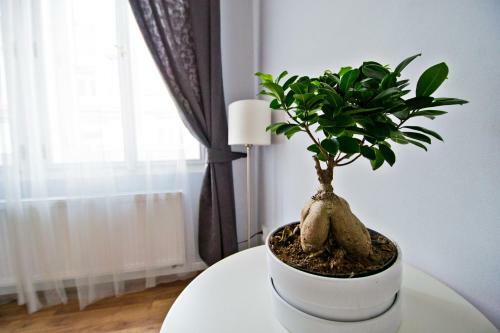 Apartamentos Business Class Ruterra Suite