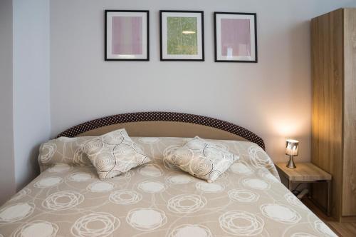 Apartment Krakovska 5