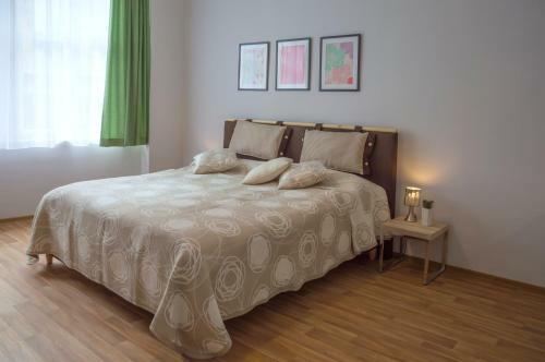 Apartment Krakovska 5