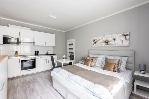 City Apartment Slezsk�