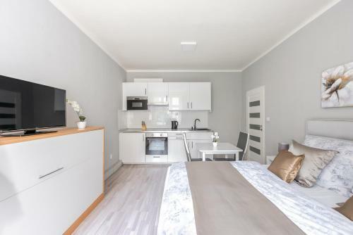 City Apartment Slezsk�