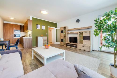 Apartamento Rezidence ?vehlova
