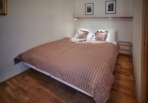 Queen Bee Apartments