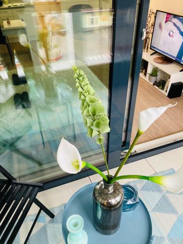 Apartement Blanc Harfa Design