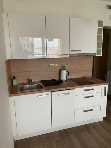 Apartment David O2 Arena Prague