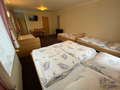 Hostal Penzion Pod Z�mkem
