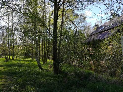 Apartamento Isabellental - Blacksmithing