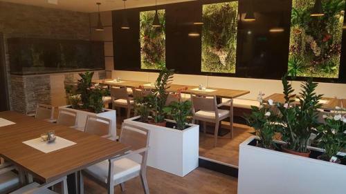 Hostal Penzion Nov� ?t?p�nov