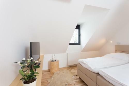 Hostal Rekovice
