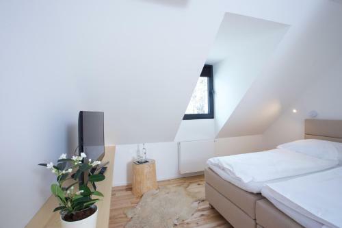 Hostal Rekovice