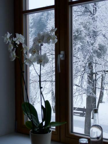 Hostal Rekovice
