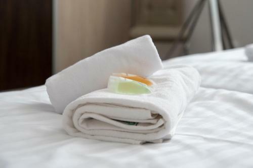 Classic Apartm�ny T?inec