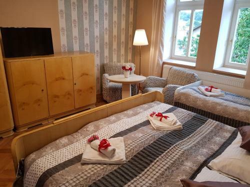 Hostal Vila Jan�?kova - 1st Republic Villa