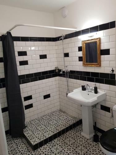 Hostal Vila Jan�?kova - 1st Republic Villa