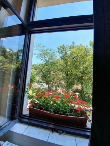 Apartamento Penzion Pinocchio