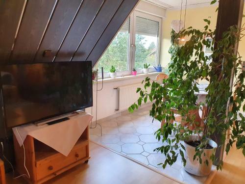 Apartamento Agathenburg Garten