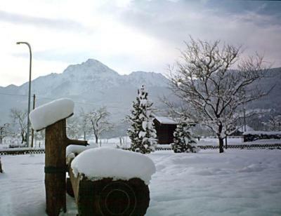 Apartamentos Haus Gollinger