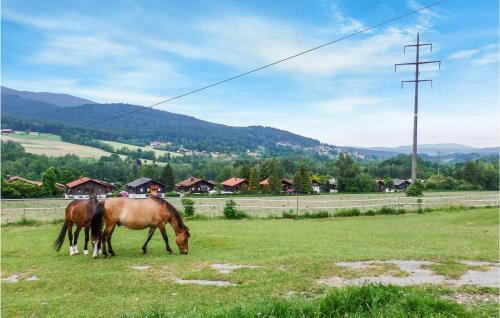 Awesome Apartment In Arrach With Wifi And 2 Bedrooms