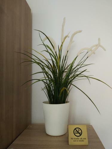 Apartamento Hausburg Studio. City View