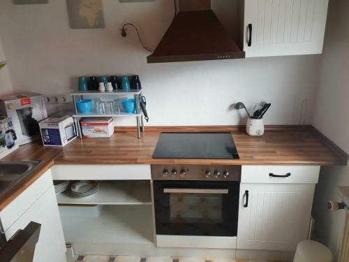 Apartamento Fewo Harzfire Mit Kamin