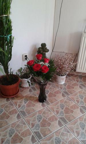 Hostal Pension Piatra Craiului