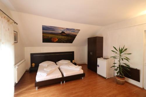Hostal Pensiunea Cartisoara