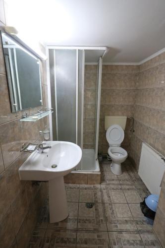 Hostal Pensiunea Cartisoara