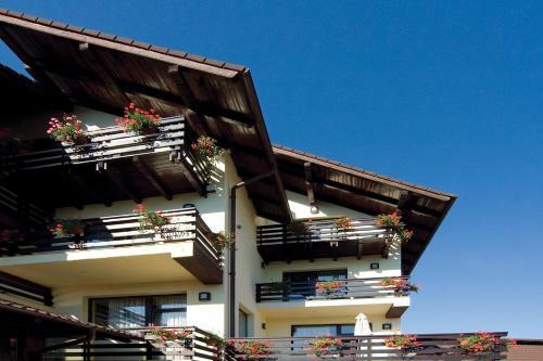 Hostal Pensiunea Andrei Moieciu