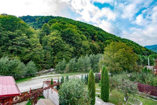 Hostal Raiul De Pe Rau