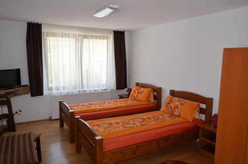 Hostal Pensiune Denisa