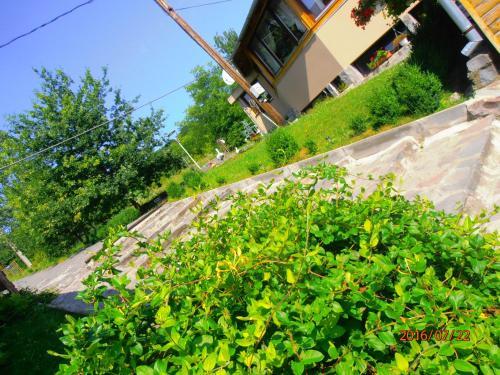 Hostal Pensiune Denisa