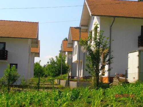 Hostal Pensiune Denisa