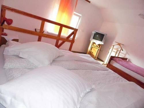 Hostal Pensiunea Andrei Sibiel