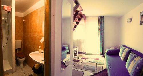 Hostal Pensiunea Andrei Sibiel