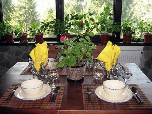 Hostal Pension Cabana Ionela