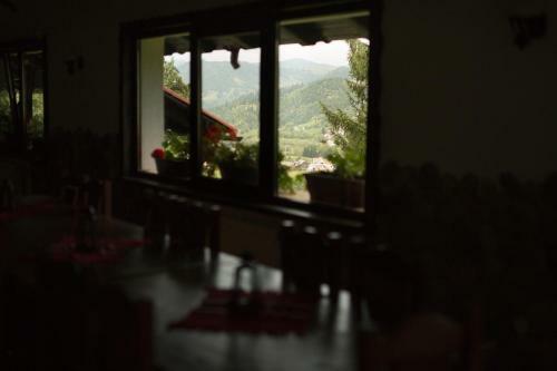 Hostal Pension Cabana Ionela