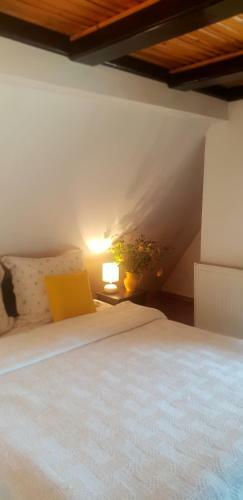 Hostal Pension Casa Aurora